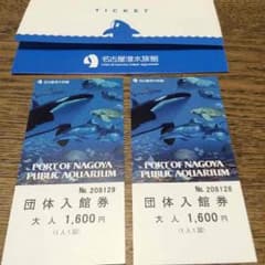 名古屋港水族館 入場券 ペアチケットのサムネイル