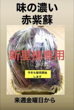 赤紫蘇　1キロ　新星様専用8／15のサムネイル