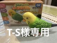 毎日おしゃべり天才インコちゃん　タカラトミーのサムネイル