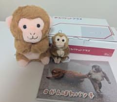 新品・未使用】ニホンザル ぬいぐるみ 市川市動植物園 くじ4等