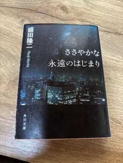 ささやかな永遠のはじまり 盛田隆二のサムネイル