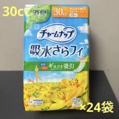 m-9【30cc】チャームナップ 吸水さらフィ 22枚入×24 m-9【30cc】チャームナップ 吸水さらフィ 22枚入×24 - メルカリ