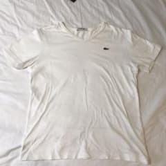 ラコステ Tシャツのサムネイル