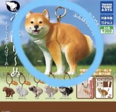 ふんばりーぬ どこでもふんばり〜ぬ 柴犬 ガチャ チャームのサムネイル