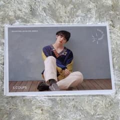 SEVENTEEN 舞い落ちる花びら フォトカードセット サイン入りのサムネイル