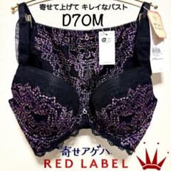✴︎D75L レッドレーベル バイ トリンプ 寄せアゲハ ブラ＆ショーツ ✴︎D70M レッドレーベル バイ トリンプ 寄せアゲハ ブラ＆ショーツ