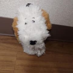 スヌーピーミュージアム　マスコットキーホルダー　アンディ