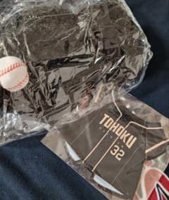 楽天 イーグルスベア 大 中島大輔のサムネイル