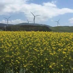 返金用0711のサムネイル