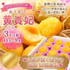 ​伝説の黄色い桃 福島産桃「黄貴妃（おうきひ）」3kg箱（9〜11玉）のサムネイル