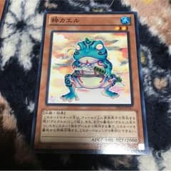 粋カエルのサムネイル