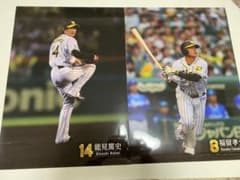 甲子園　11月11日 最終戦　能見選手　福留選手　メモリアルポスターのサムネイル