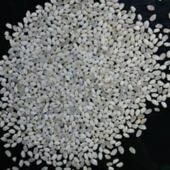 くず米 精米 24kg【飼料用】 - メルカリ