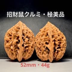 文玩くるみの特徴を知る：10種類の桩型と代表的な品種 極美品】文玩核桃・遊びクルミ 招財鼠ぺア 天然原桩無修・高52mm・重
