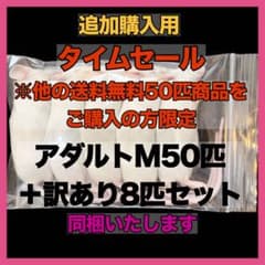 追加購入用 冷凍マウス アダルトM ＋訳あり8匹 説明欄お読みください
