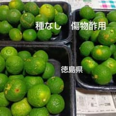 種なしすだち　傷物酢用　２.５キロ 20日ご購入特価+おまけのサムネイル