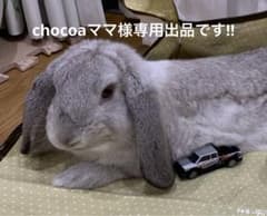 chocoaママ様専用、リピーター様割引きしています！小動物のおやつのサムネイル