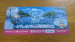 ネモフラ祭り 大阪まいしまシーサイドパーク　無料招待券のサムネイル