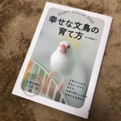 幸せな文鳥の育て方のサムネイル