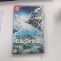 젤다의 전설 티어즈 오브 더 킹덤 Switch 패키지 전용