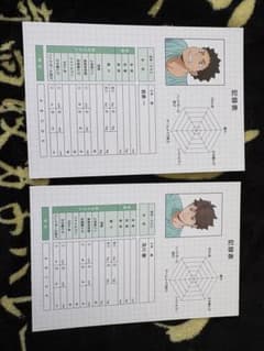 ハイキュー アニメイトフェア 体力測定 特典 記録表 及川徹、岩泉一のサムネイル