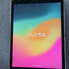 Apple iPad 本体のサムネイル