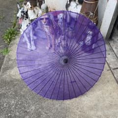 紫色の絹舞踊傘　藤巻　絹舞傘　日本舞踊　舞台小道具 rei様専用紫色の絹舞踊傘 藤巻 絹舞傘 日本舞踊 舞台小道具 - メルカリ
