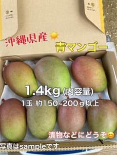 マンゴー(摘果マンゴー)青マンゴー グリーンマンゴー 1.4kg - メルカリ