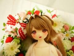 imomodoll 사용자 정의 헤드 1/4 인형