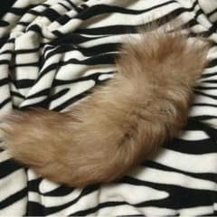 ファーシッポのサムネイル