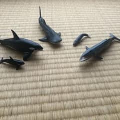 海の生き物 フィギュア 3セット まとめ売りのサムネイル