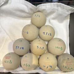 ソフトテニスボール中古 1 - メルカリ