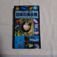日本の海水魚　山渓ハンディ図鑑13のサムネイル