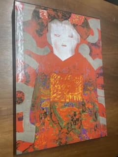 美しきアルプス 小森 康行 214ページ 昭和51年7月1日発行