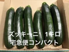 ズッキーニ　6本のサムネイル