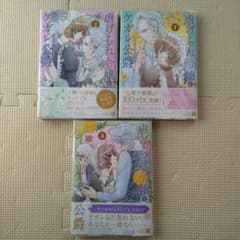 虐げられた令嬢とケガレ公爵1~3巻セットのサムネイル