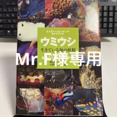ウミウシ生きている海の妖精 : ネイチャーウォッチングガイドブック : 特徴が…のサムネイル