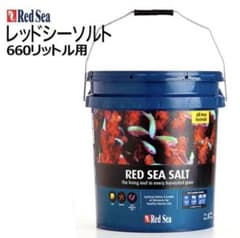 ★レッドシーソルト★660Lバケツのサムネイル