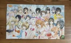 河下水希 描き下ろし WJヒロイン百花繚乱ポスター - メルカリ
