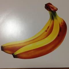 のりこさん専用 おさるのサムネイル