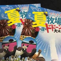 マザー牧場チケット２枚 ９月末までのサムネイル