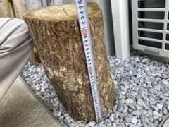 menehunecyan様 専用/切り株　高さ約33cmのサムネイル