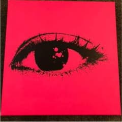 sheena ringo book 椎名林檎 本のサムネイル