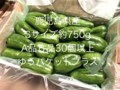 ⑨お買得品！新鮮ピーマン 約750gSサイズ約30個以上A品 B品 - メルカリ