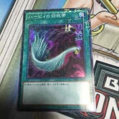 ハーピィの羽箒のサムネイル
