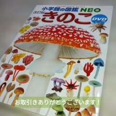小学館の図鑑 NEO [新版] きのこ DVDつきのサムネイル