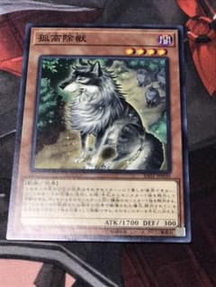 遊戯王 孤高除獣のサムネイル