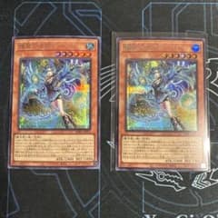 エルフェンノーツディーナ シークレット2枚 - メルカリ