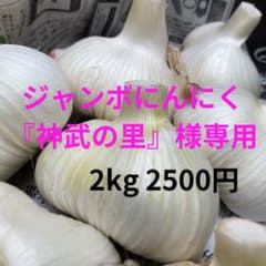 ジャンボにんにく2kgのサムネイル