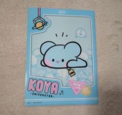 BT21 시크릿 하지 KOYA